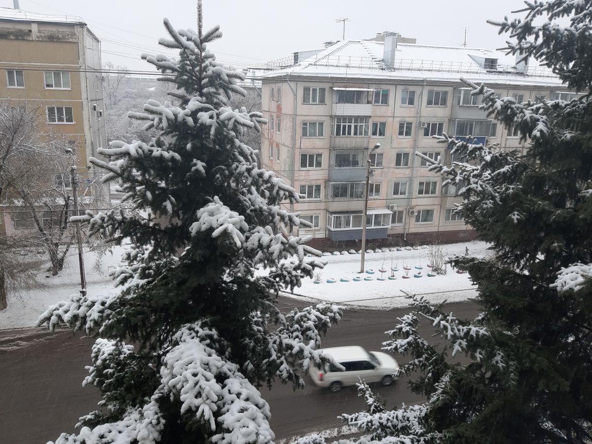 Погода в благовещенске амурской. Снег в Благовещенске. Снег в Амурской области. Сугробы в Благовещенске. Благовещенск зимой 2021.