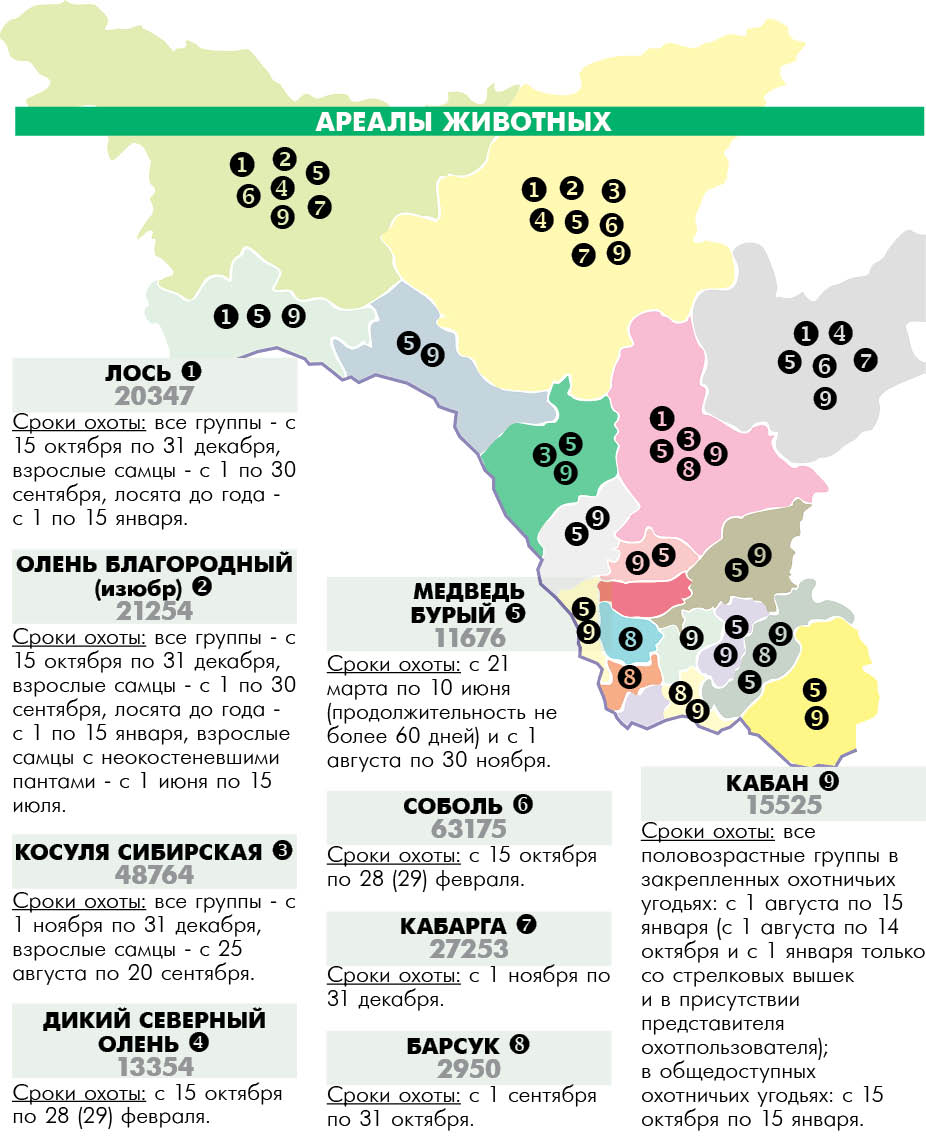 Карта охотугодий амурской области