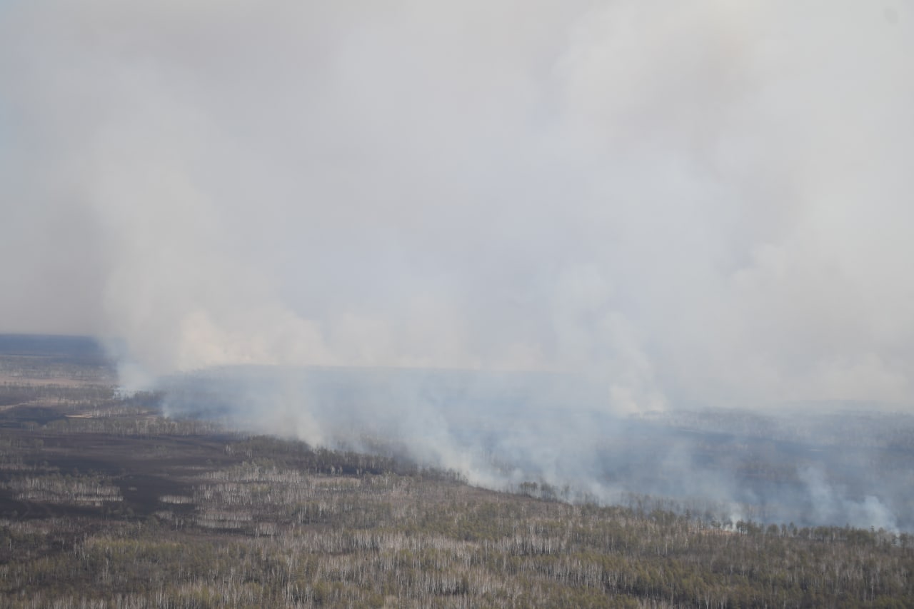 24 природных пожара за день потушили на севере Амурской области
