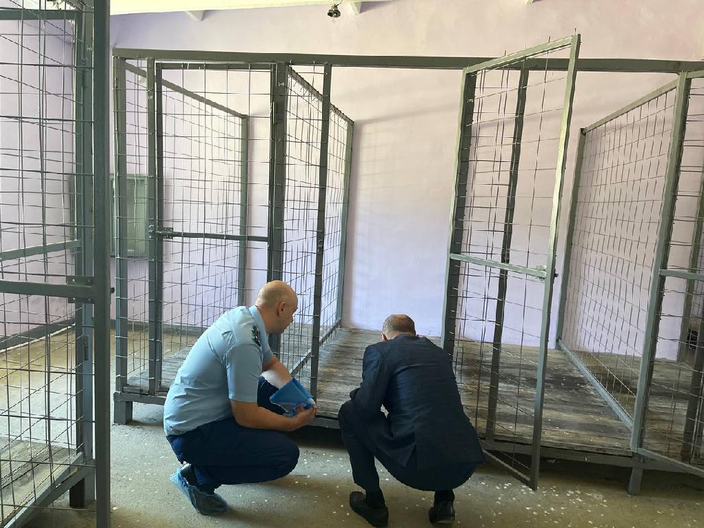 Плесень съедает стены приюта для бездомных животных в Шимановске
