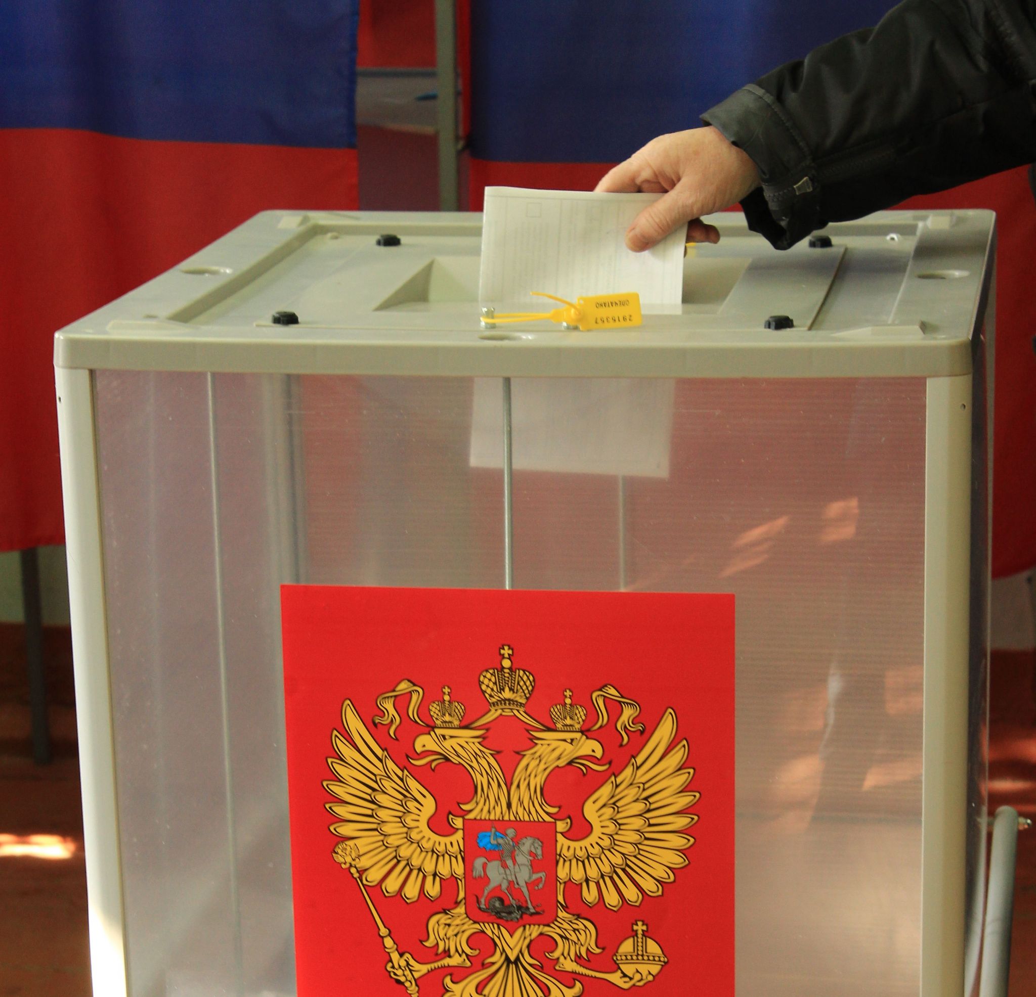 Досрочное голосование на выборах губернатора завершилось в Тындинском округе