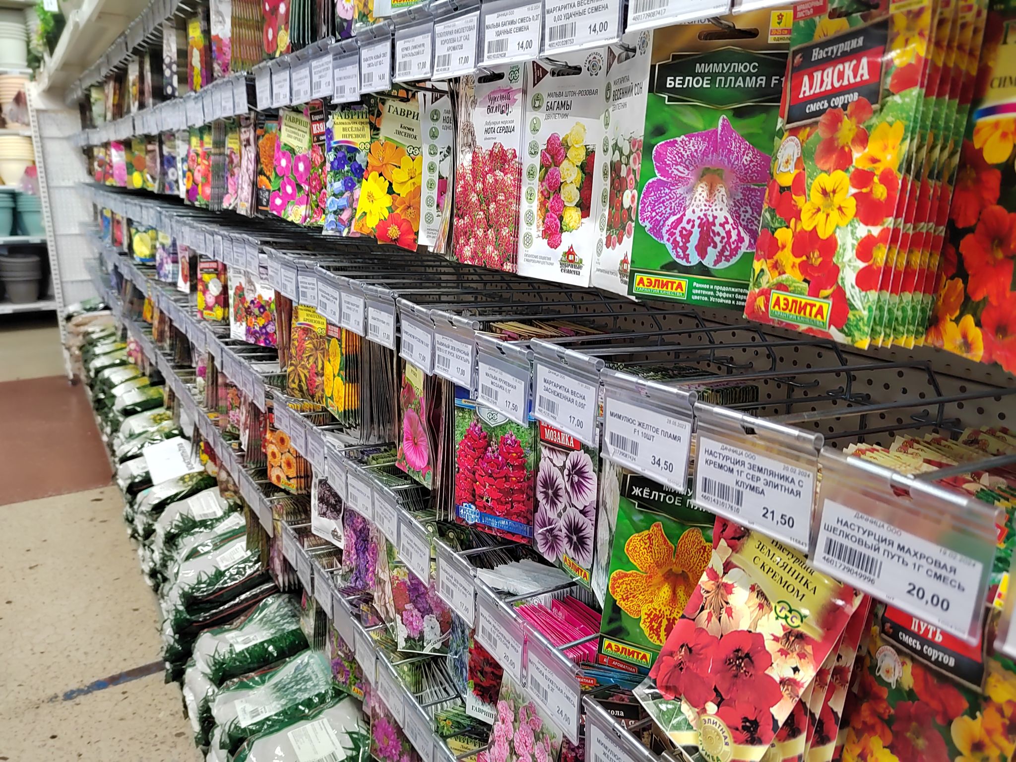 Семена запрещенного растения покидают амурские магазины