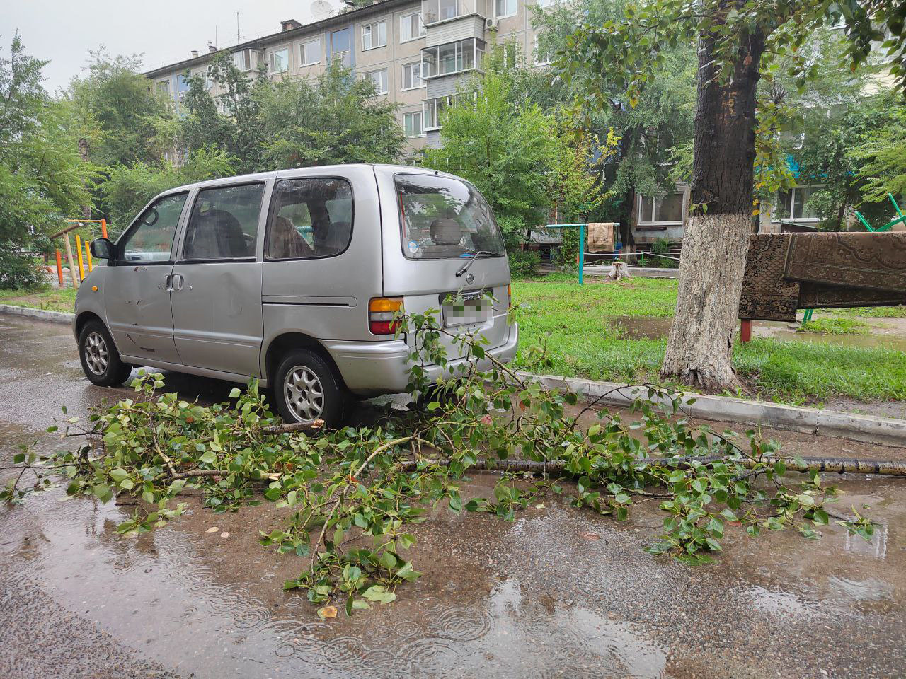 Сильный порывистый ветер ломает ветки в Благовещенске