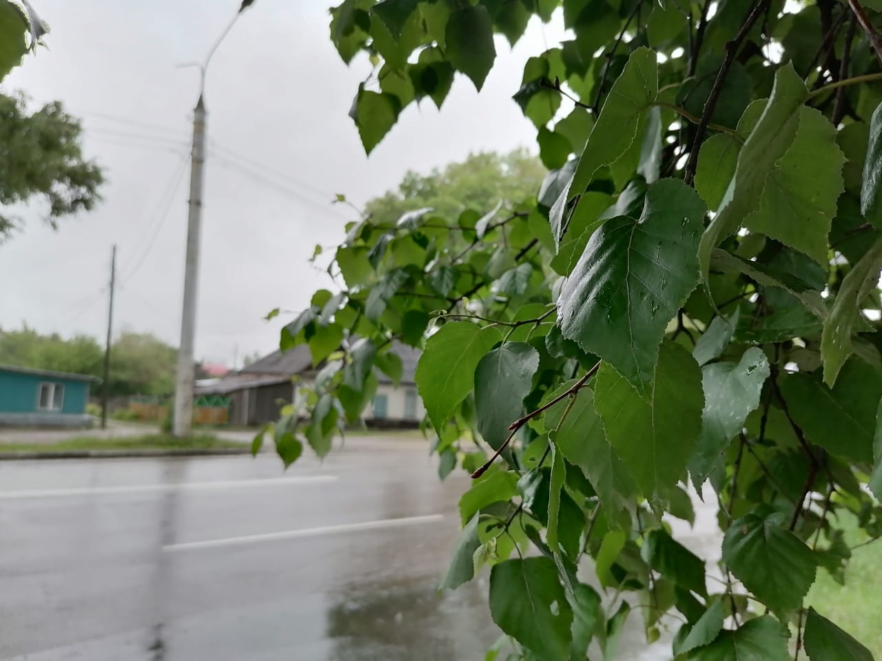 Небольшой дождь пройдет местами в Амурской области