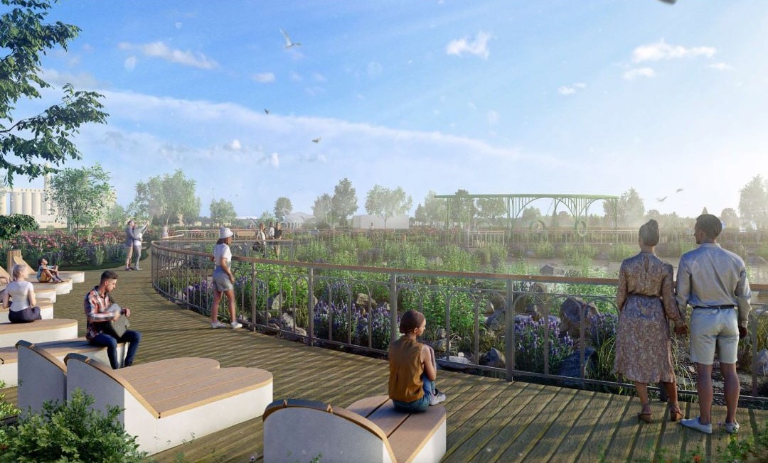 Дождевой сад и кусочек тайги в городе хотят создать в Приамурье