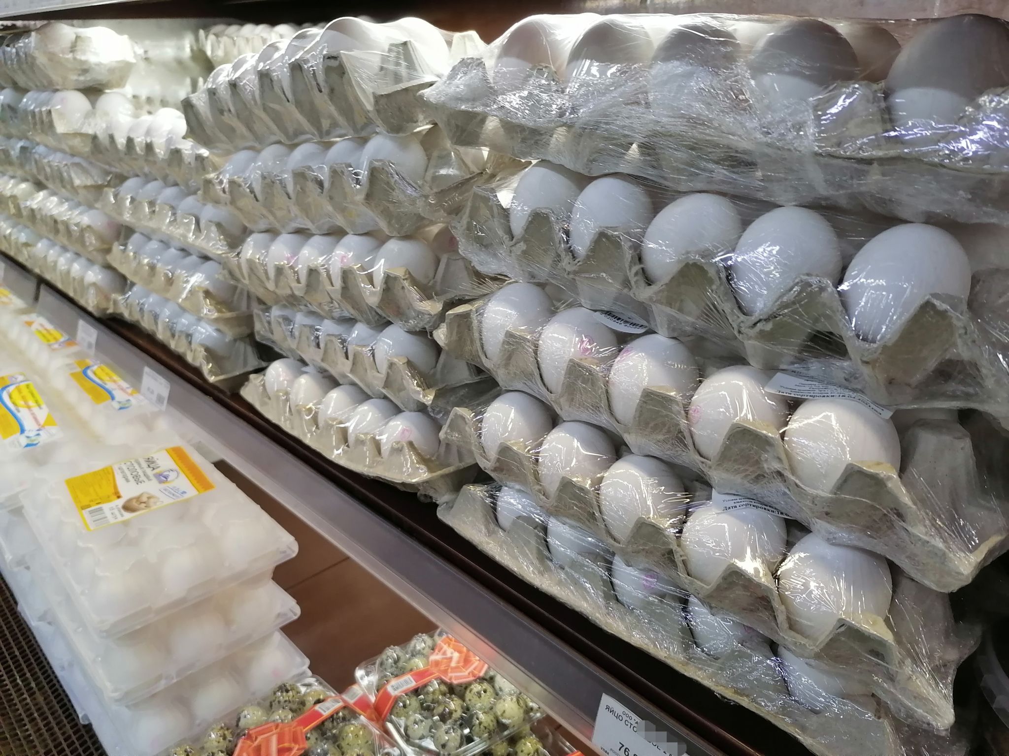 Куриные яйца из Таиланда, Вьетнама и Ирана могут начать поставлять в Россию