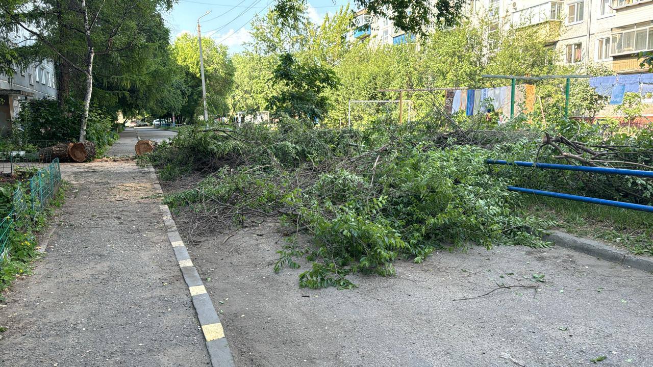 Деревья избавили от аварийных веток в нескольких дворах Благовещенска