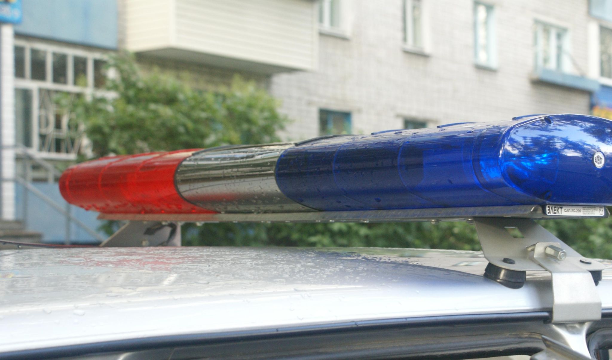 Водителя и пассажира "веселой" иномарки оштрафовали в Благовещенске