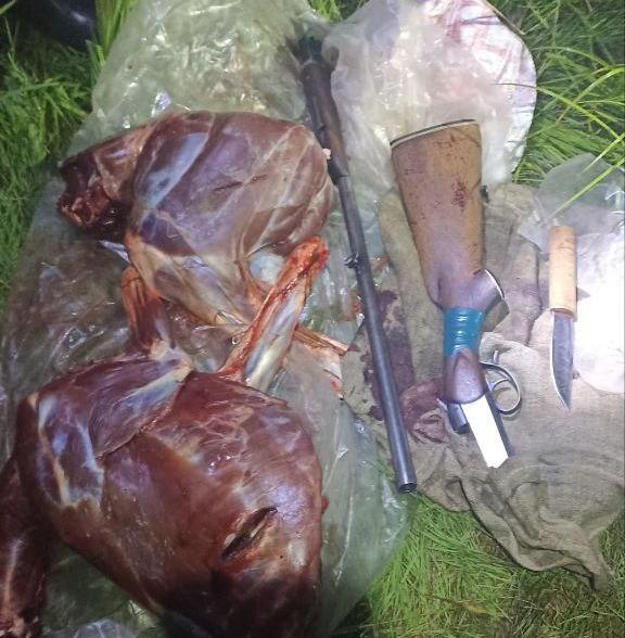 Семья браконьеров застрелила косулю в Амурской области