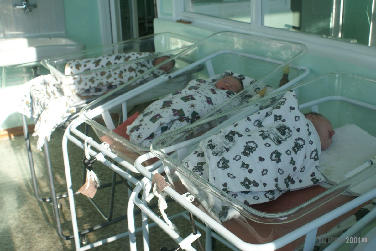 Выплаты за рождение двойни получили семьи Белогорска 