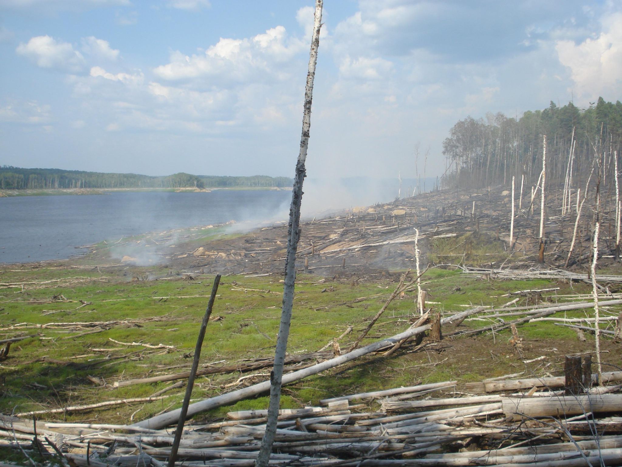 Крупный лесной пожар по вине рыбаков разгорелся в Амурской области