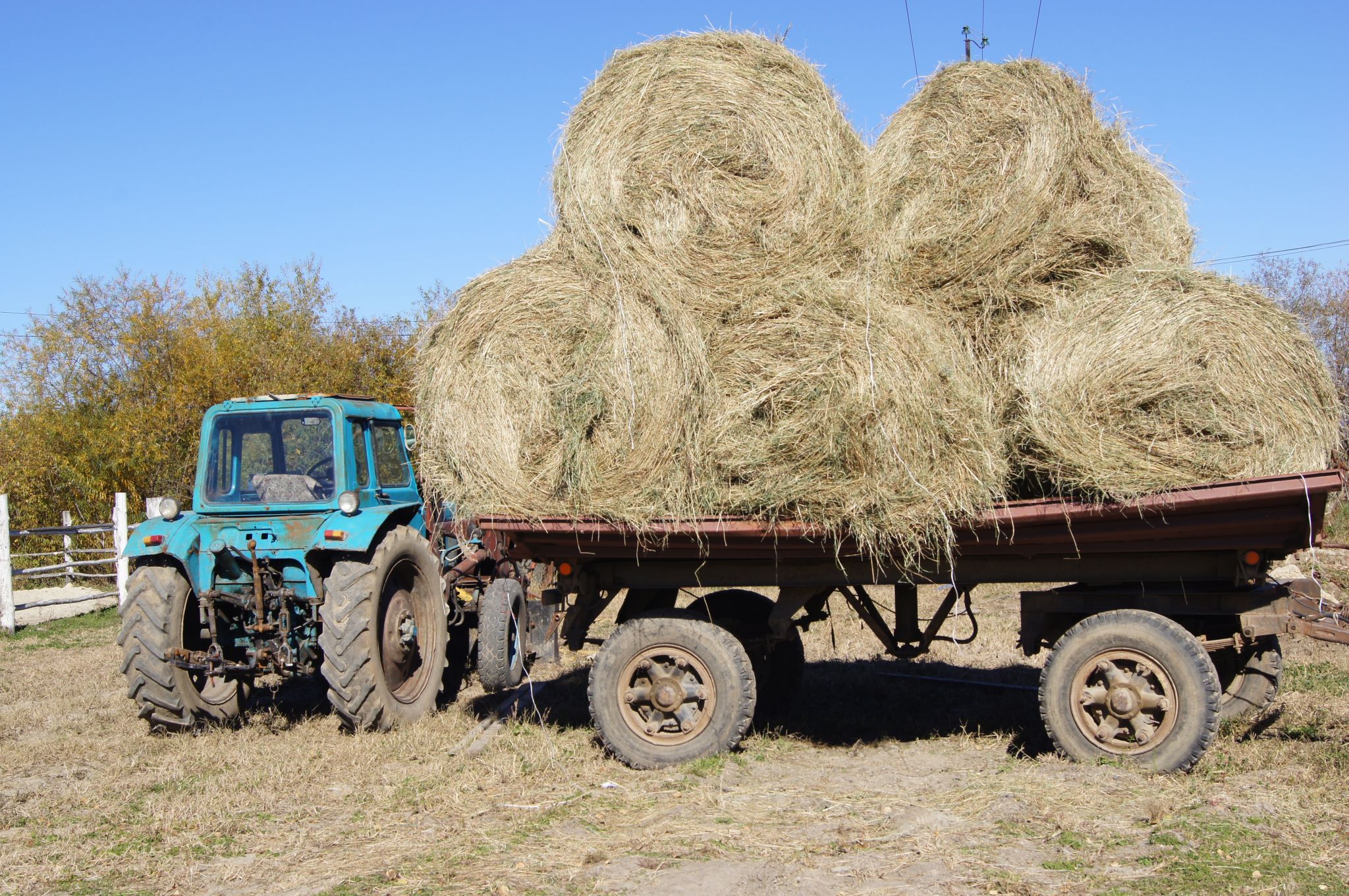 Дефицит кадров в Приамурье замечен в сельском хозяйстве и добыче сырья
