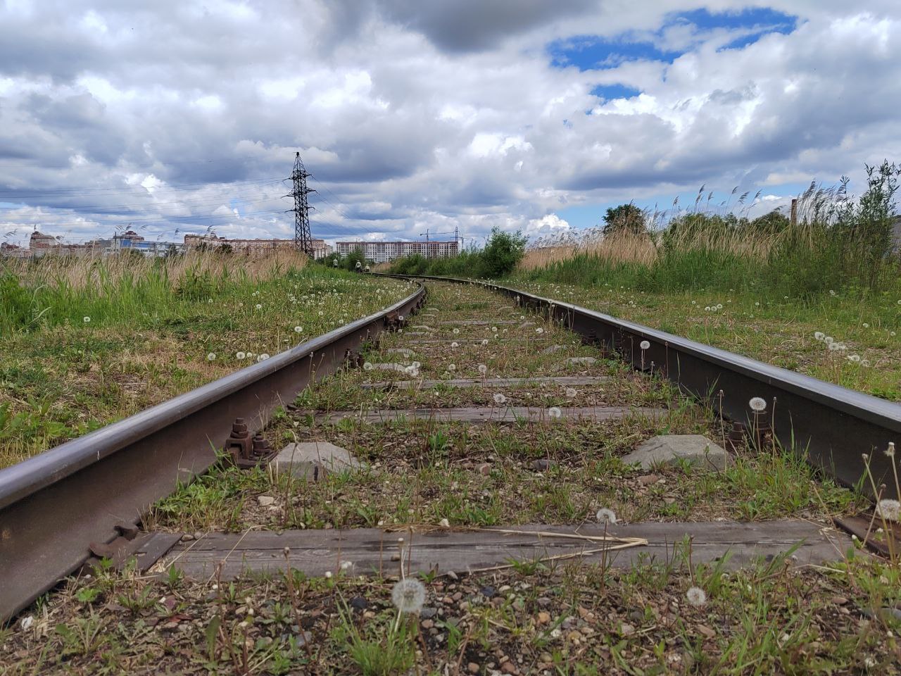 Нарушителей правил в зоне движения поездов задерживают в Приамурье