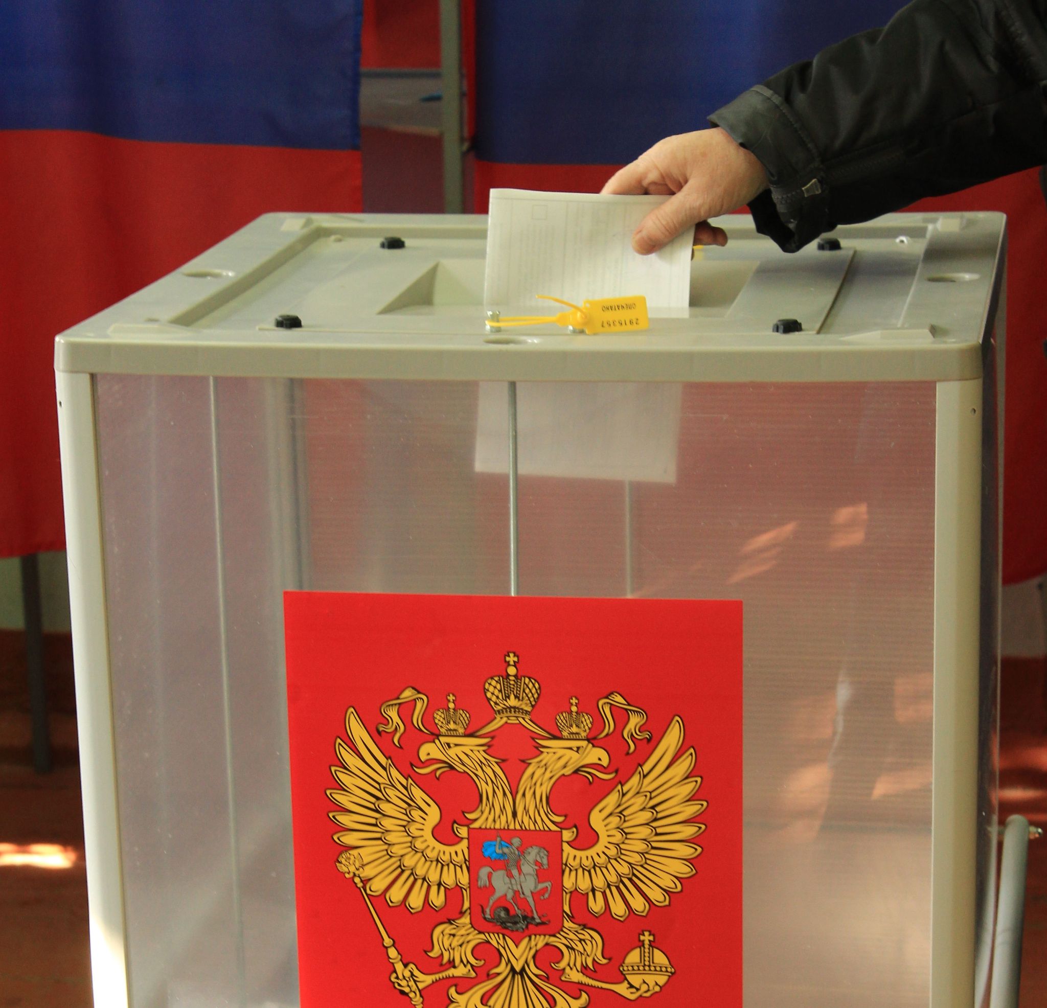 На выборах в Амурской области зарегистрированы более 250 кандидатов