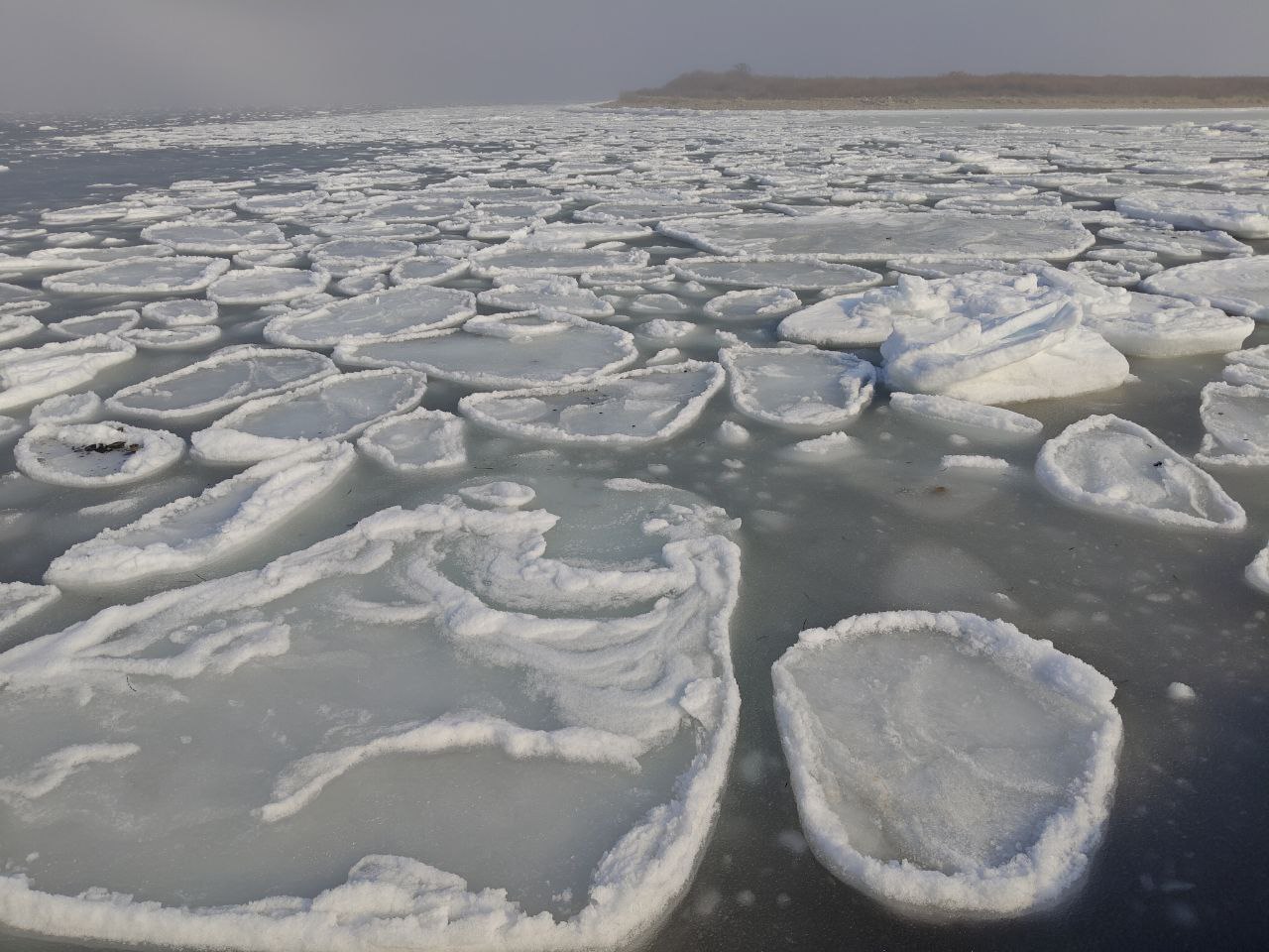 Ледяные блины плывут по морю на Дальнем Востоке