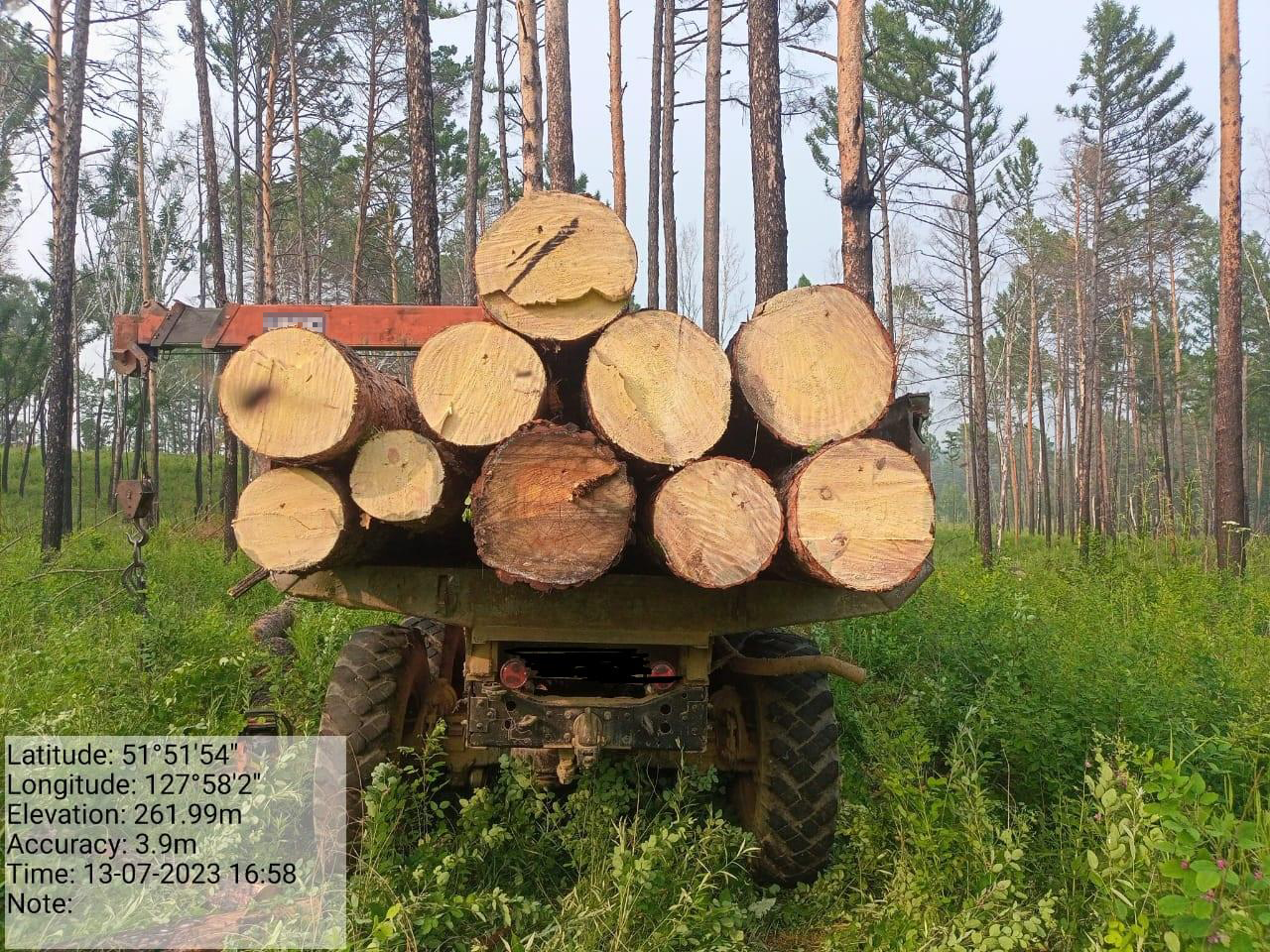 Преступлением закончилась поездка на покос в Амурской области