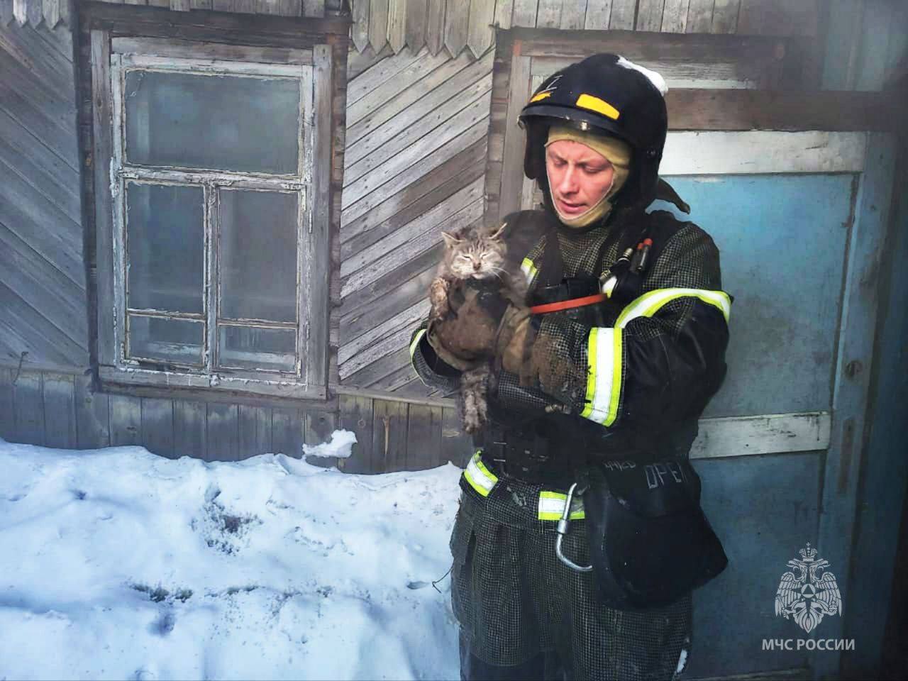 Пожар от включенного прибора произошел в Завитинске