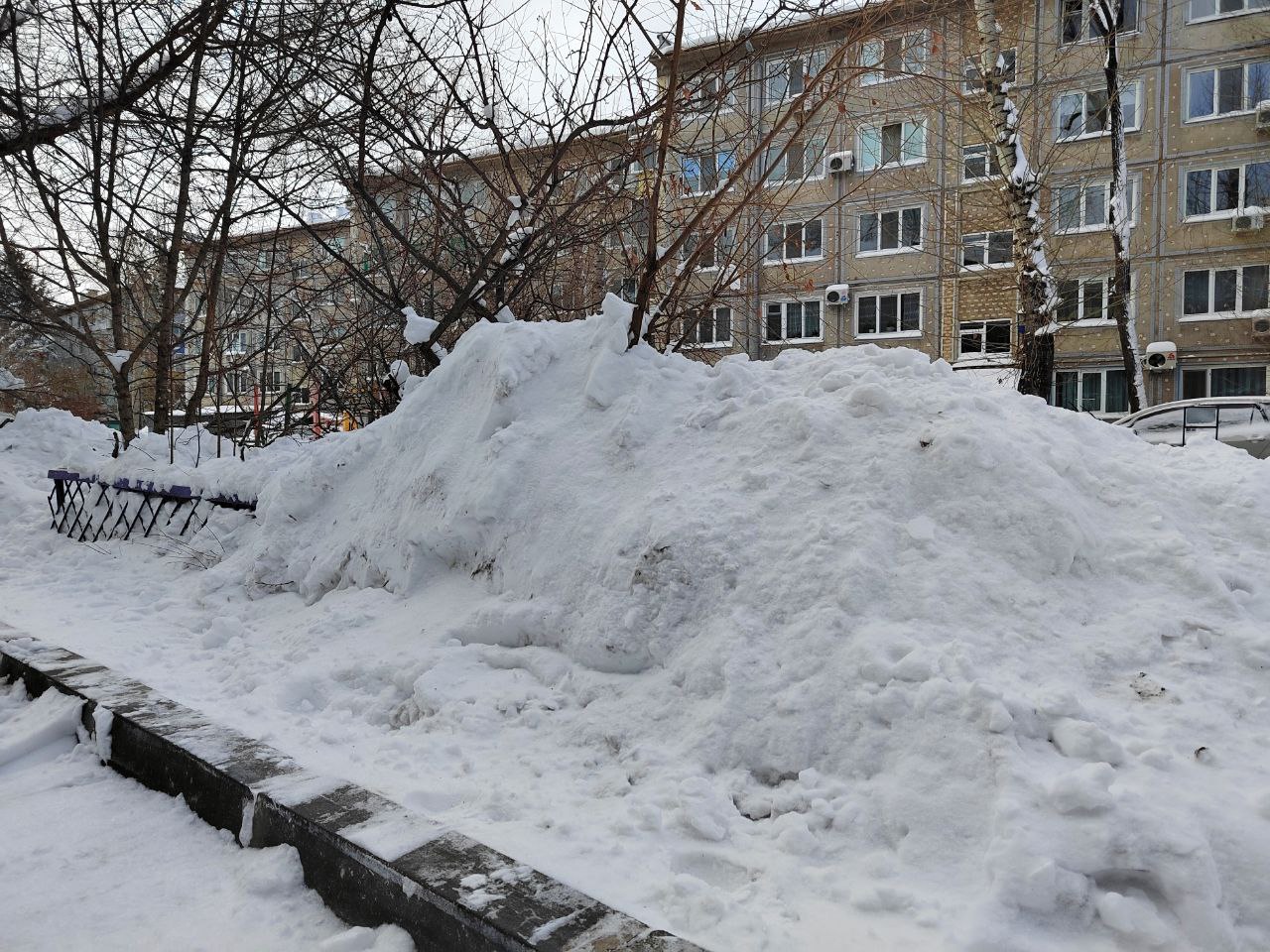 Талые воды могут подтопить низменности в большинстве муниципалитетов Приамурья