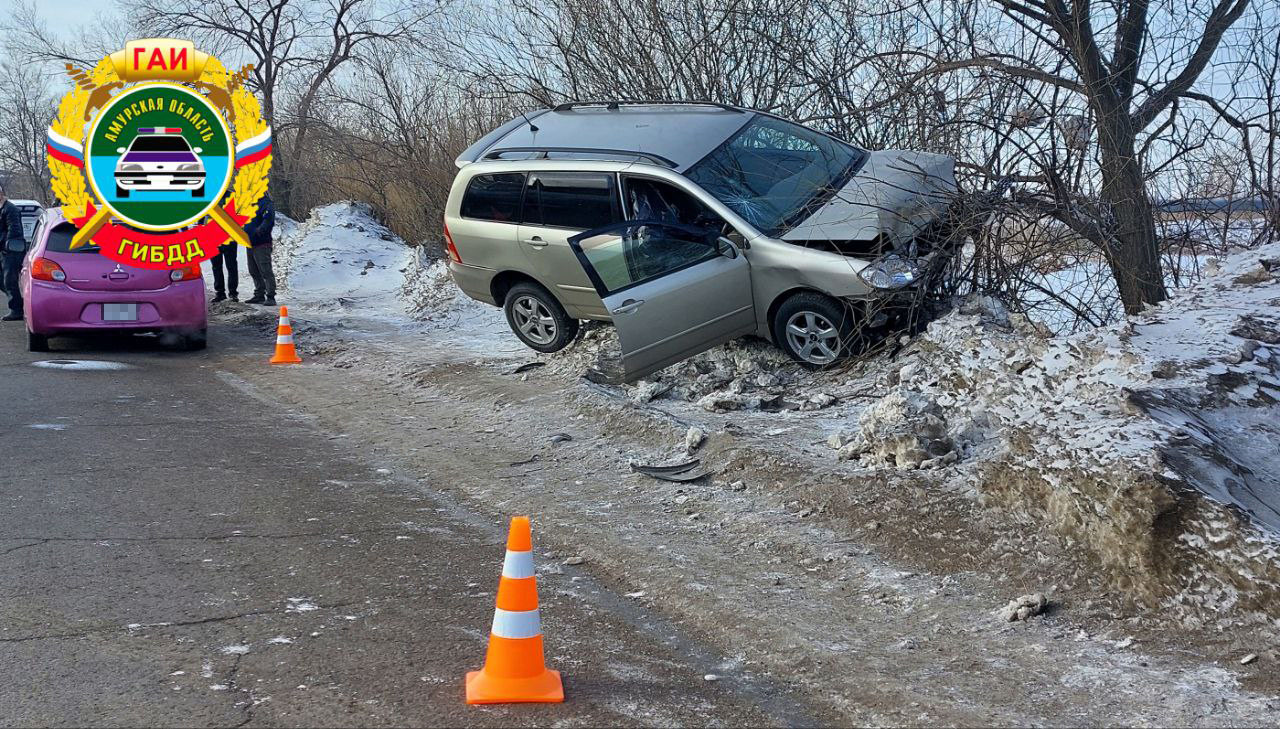 ДТП с участием дерева лишило жизни водителя в Благовещенске