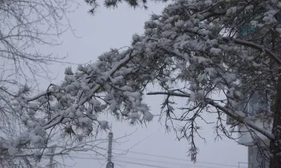 Сильнейший снегопад обрушился на Москву