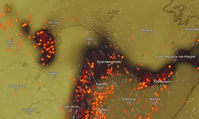 Дым от пожаров в Китае затягивает Амурскую область