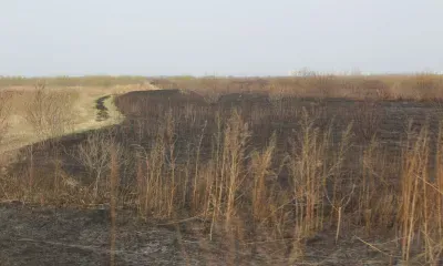 44 дела завели на виновников палов в Амурской области