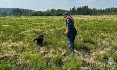 Поиски пропавшего в амурской тайге мужчины ведутся на земле и с воздуха