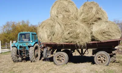 Самсон Сеногной: «На Самсона дождь - семь недель то ж»