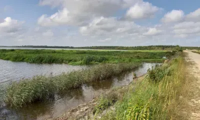 По северу Амурской области 15 августа облачно, кратковременные дожди, грозы, местами ливни