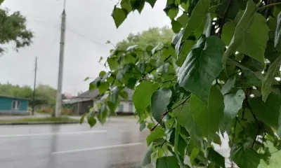 Местами по северо-западным и южным районам Амурской области 21 августа пройдет небольшой дождь