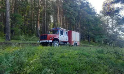 Пограничники, пожарные и полицейские искали грибника в Приамурье