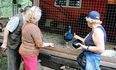 Парк отдыха с животными и птицами создали родственницы из Тынды