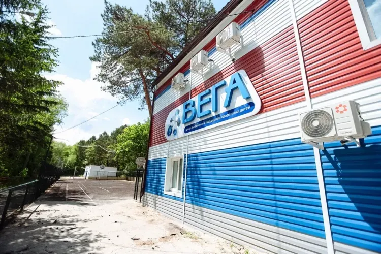 К работе с одаренными детьми привлекут компании по поручению Василия Орлова