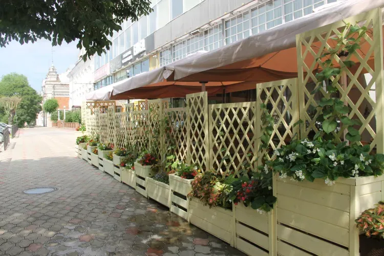 Бистро и блинную открыли амурчане после обращения в центры занятости населения