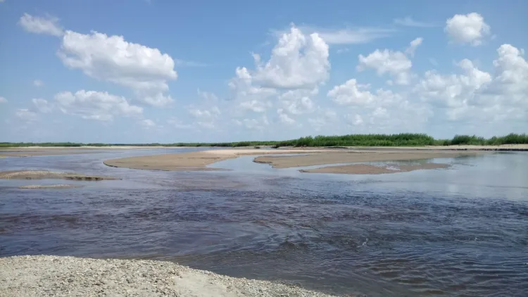 Вода из реки Зея может зайти в пригород Благовещенска