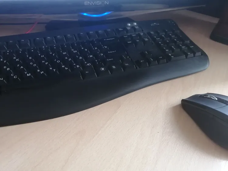 Жертвой киберугроз могут стать школы, не перешедшие на российское ПО