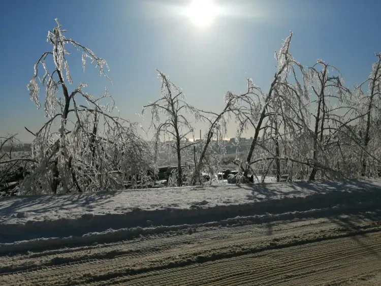 До Прокла не жди от дороги прока