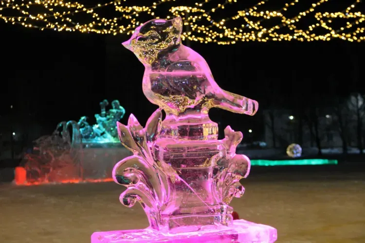 Ледовый городок в духе Петербурга открылся в Амурской области