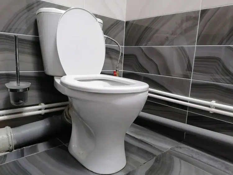 Салаты и закуски засорили канализацию Благовещенска в новогодние праздники