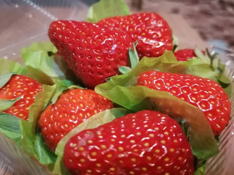 Импортные цветы и ягоды завезли в Приамурье в аномальные морозы