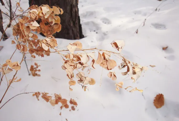 Никита - пожарник: красный огонь обещал холода, белый - тепло