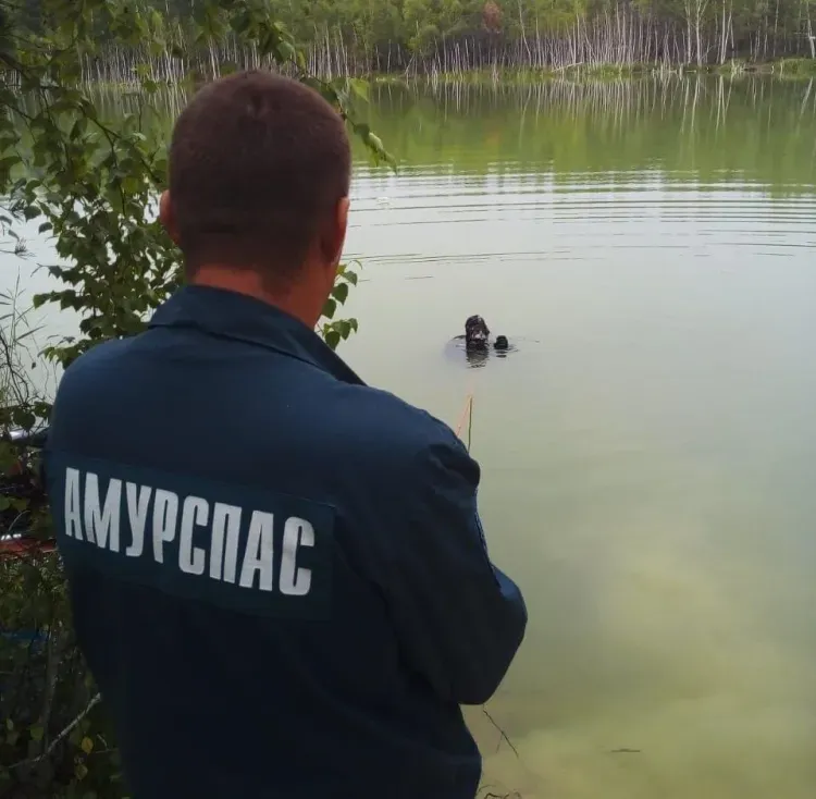 Найдено тело амурчанина, утонувшего в озере между двумя поселками