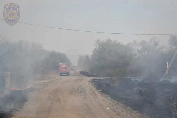 Сильный ветер сохранится в Амурской области 9 мая