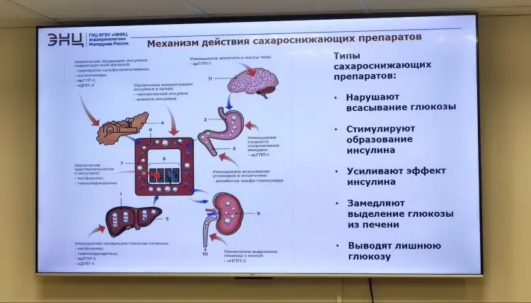 Школу сахарного диабета прошли более 60 пациентов из Приамурья