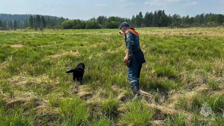 Поиски пропавшего в амурской тайге мужчины ведутся на земле и с воздуха