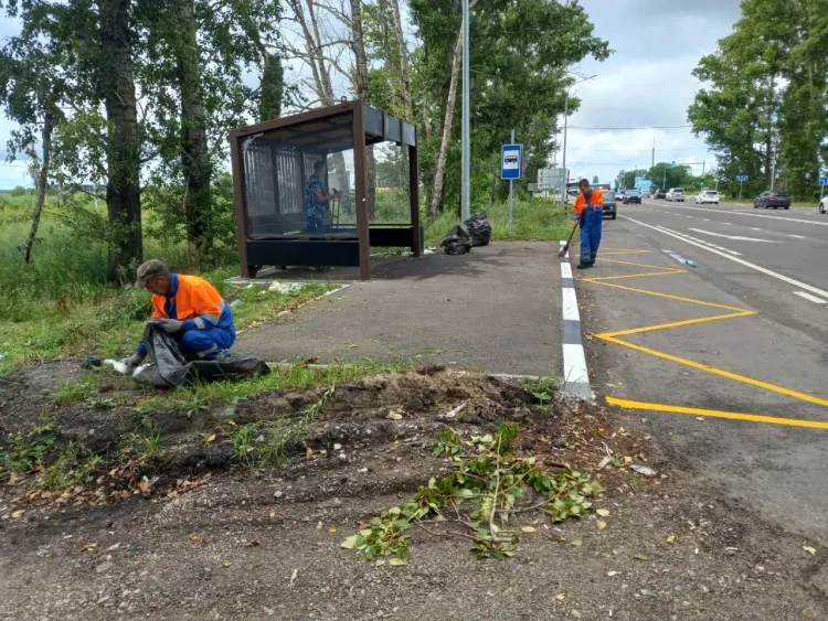 В свалку превратили новую остановку на трассе "Благовещенск - Гомелевка"