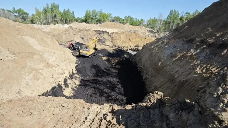 Крупную партию незаконно добытого угля изъяли в Амурской области