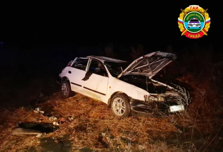 Водитель и пассажир стали жертвами аварии неподалеку от Райчихинска