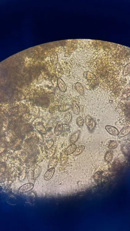 Одна болезнь на всех: рыбаки попали на операционной стол в АОКБ