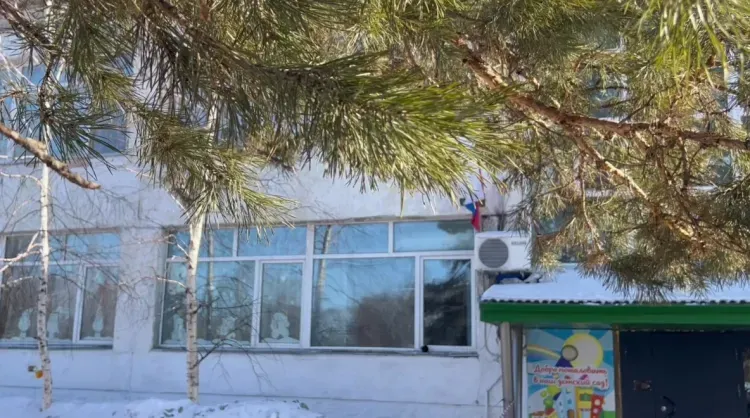 Нашествие ворон: детский сад в Белогорске защищается с помощью технологий